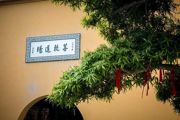 生活中如何修行六度法门？