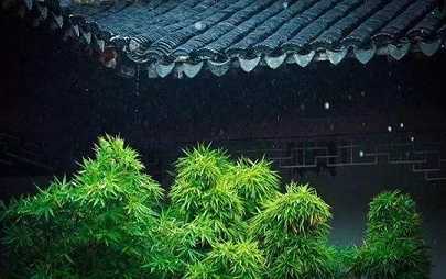 娑婆世界的真相