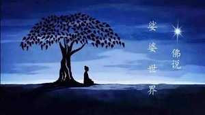 娑婆世界的真正涵义是什么？