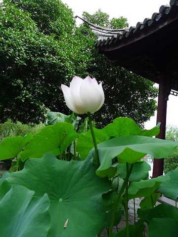 五蕴的观察