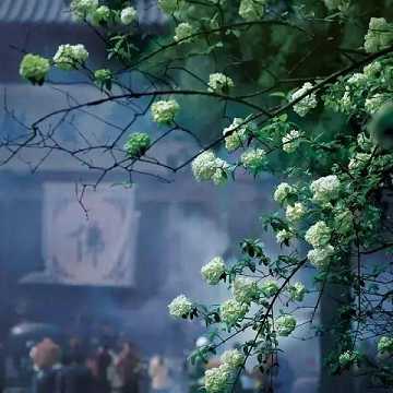 五蕴的真相