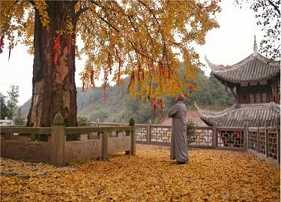 发心是什么意思？