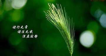 无我