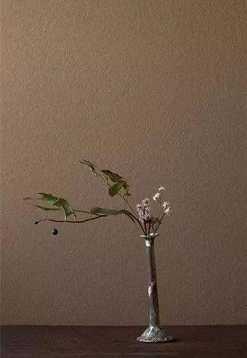 法执