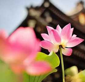 中国有一位传奇高僧寿命高达290岁