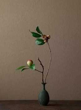 真如和实相的意思是什么