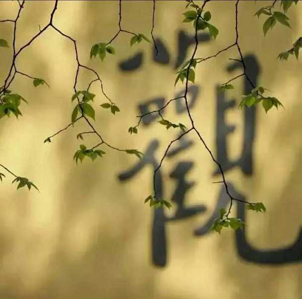 https://m.lengyands.com/fxzhtt/xjqhef/176317.html