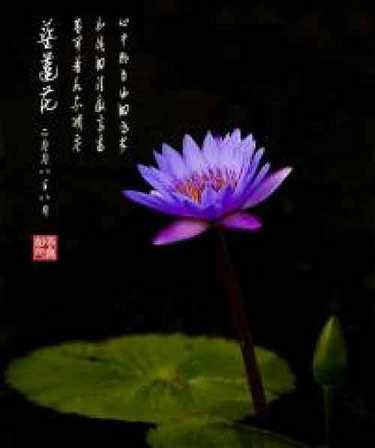 药师心咒和药师咒的区别是什么
