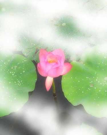 药师法门简易修持仪轨