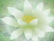 药师经白话解释