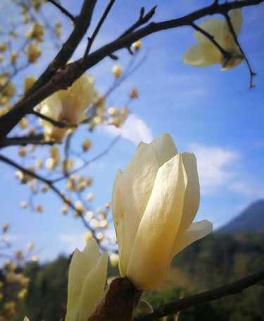 药师经和心经有什么区别