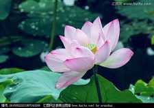 地藏经读诵60