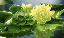 药师经治病原理