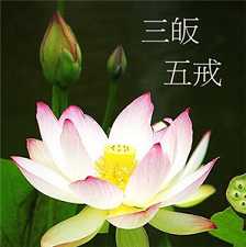 三皈五戒的重要性
