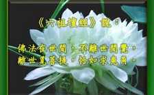 佛法在世间，不离世间觉