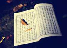 【禅诗赏析】唐·香严智闲之《