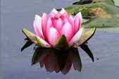 教内之教导 The Teachings inside Buddhism